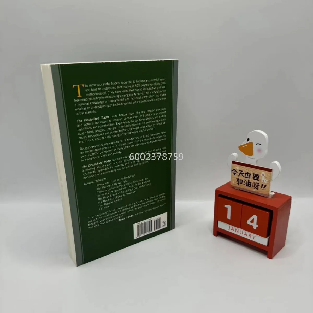 Disciplined Trader Englische Version Das Disciplined T