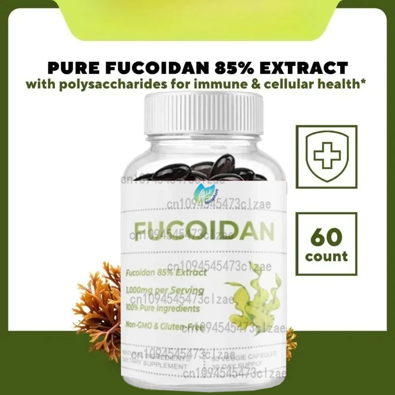 

85% чистый экстракт Фуцзянь, иммунитет, сотовое здоровье и поддержка пищеварительной очистки - 1000 мг Фуцзянь-60 вегетарианских капсул за обслуживание