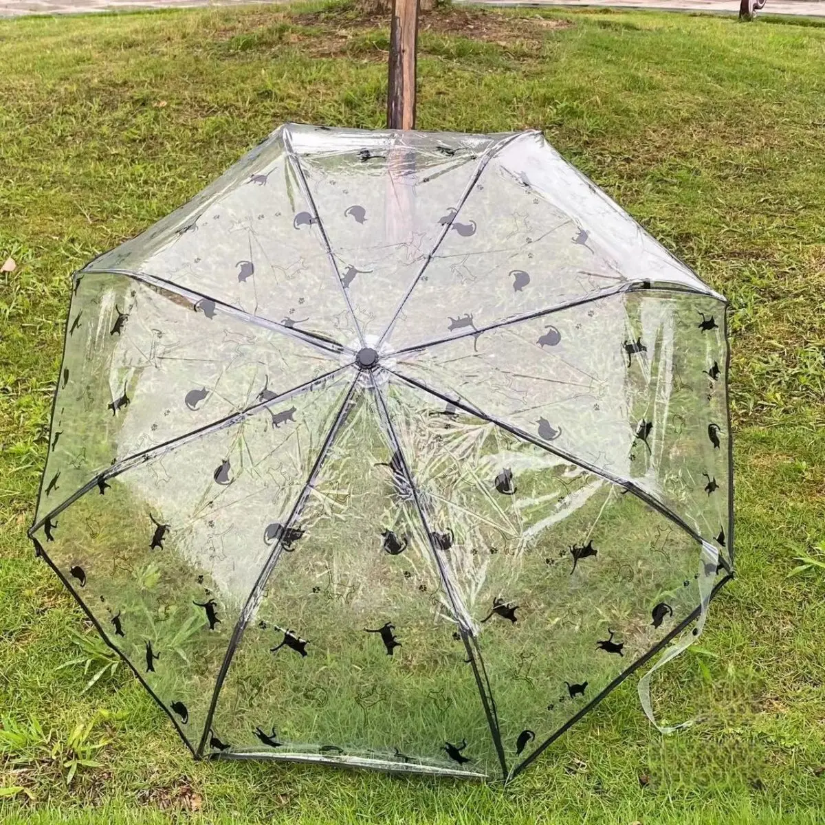 Transparent Automatic Three-fold Umbrella Transparent Automatic Three-fold Umbrella