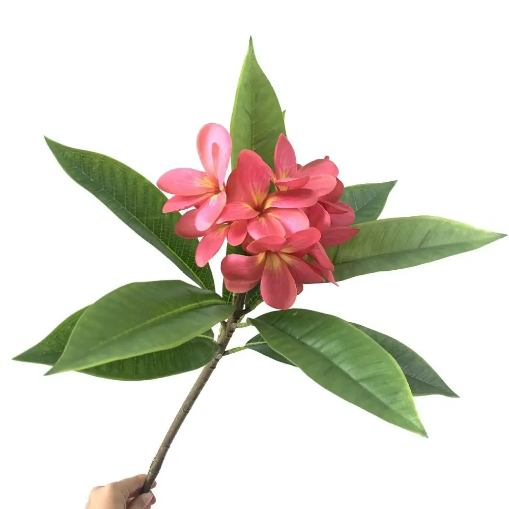 Real Touch Artificial Plumeria Flowers DIY Long Stems Silk Plum Blossoms Lifelike Handmade Wedding Bouquet Decor Christmas Decor