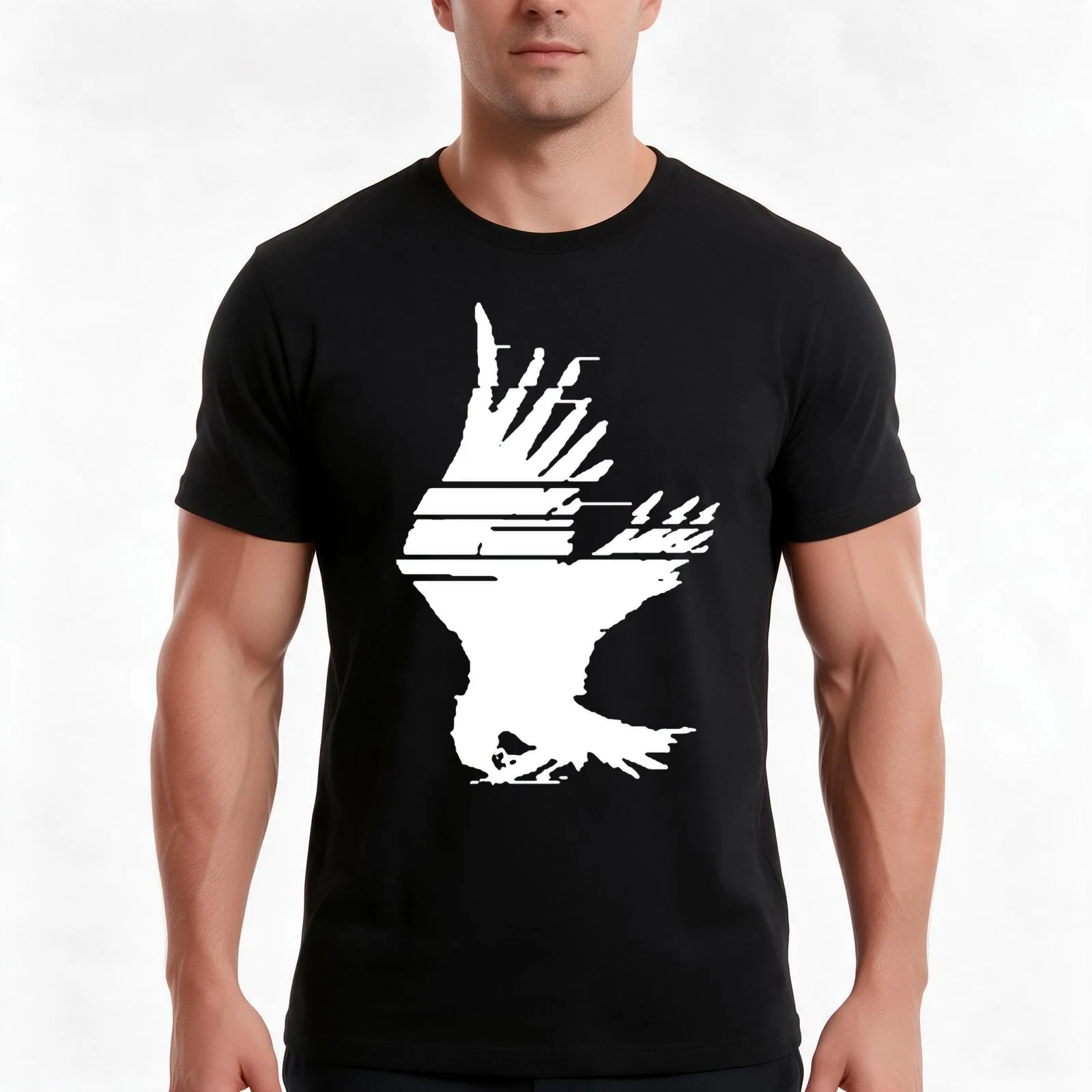 WHITE_BORROWED_WINGS T-Shirt, Summer Casual Cotton Tee, Oversized Streetwear Tops, Vintage Graphic Print, Loose Fit Short Sleeve