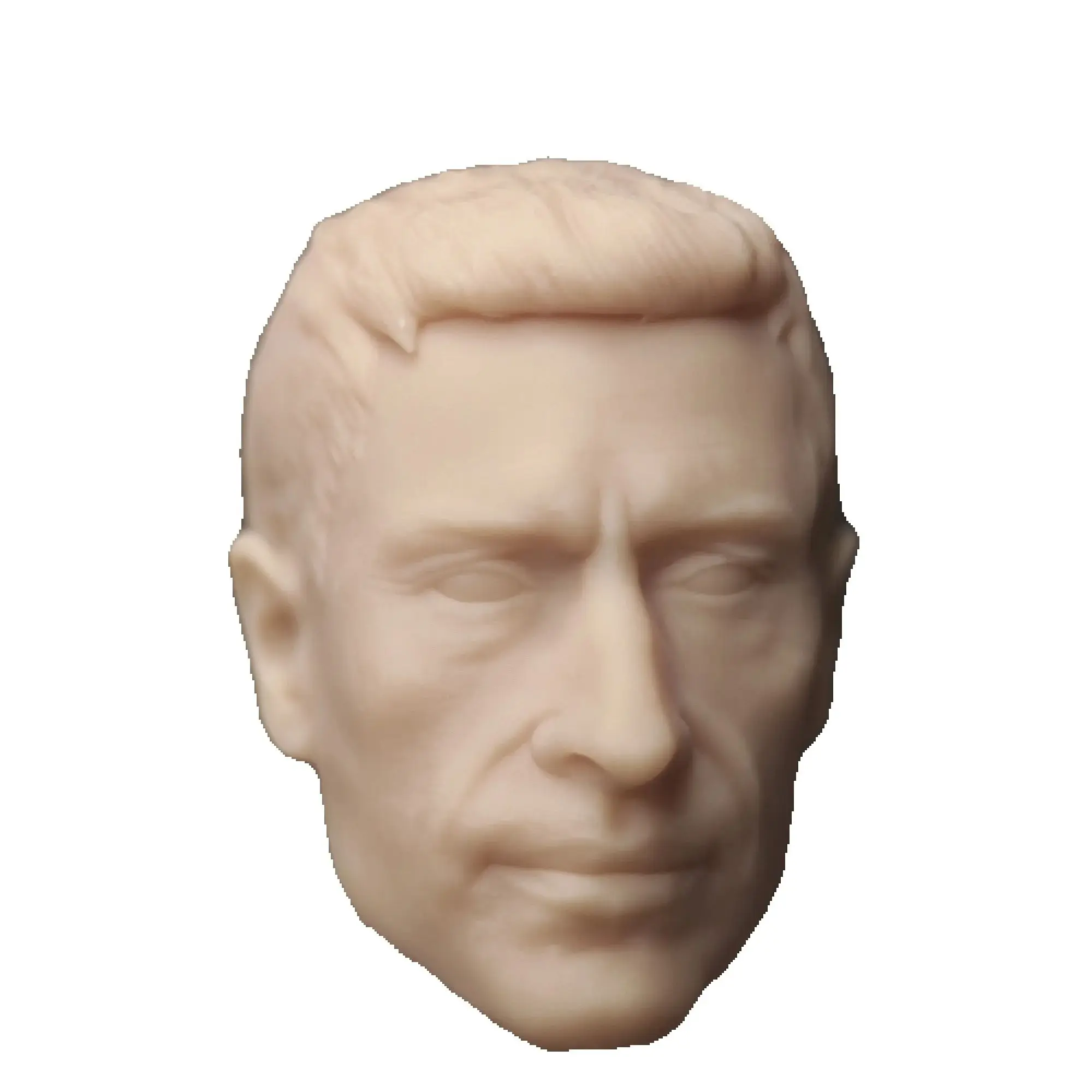 

HL2146 DIY Customized 1/18 1/12 1/10 Tiger Hector A Unpainted Head Sculpt for 3.75" 6" 7" Figure SHF ML Mafex Mez NECA Mcf