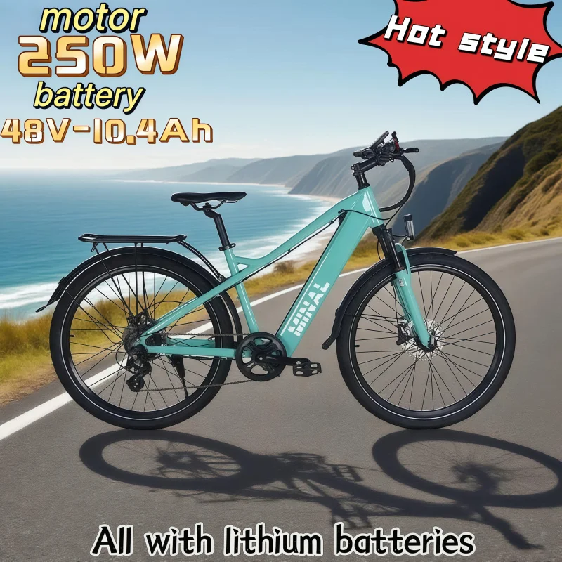 

Fashionable and trendy city moped 48v10.5ah high-efficiency energy-saving lithium battery E-BIKE