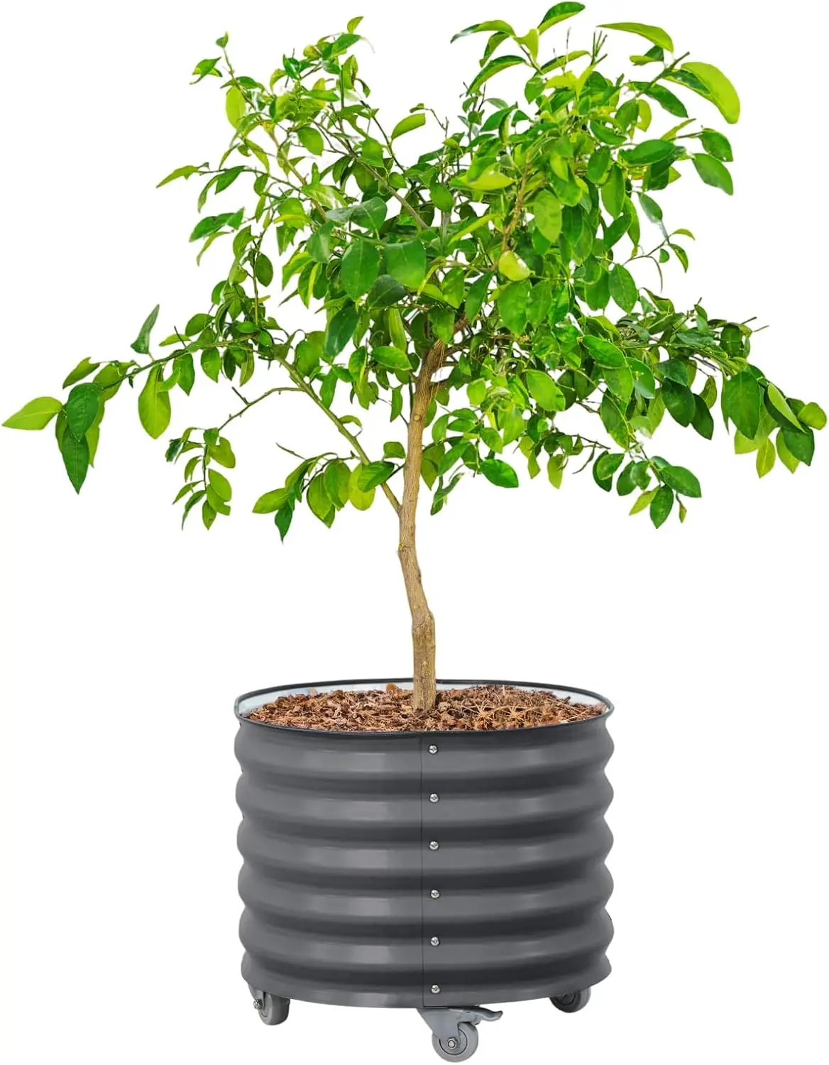 24 Inch Round Rolling Metal Planter Pot with Wheels, 30 Gallon Large Outdoor Plant Container for Citrus Trees, Olive Trees, Tomatoes, Vegetables and Flowers for Porch, Patio and Backyard, Gray