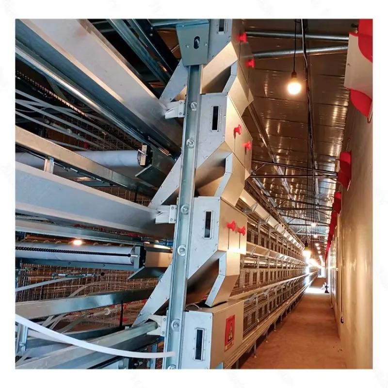 New Superior Quality High Zinc Non-destructive 275 Plates H-Type Chicken Battery Layer Cage Poultry Farm High Lower Egg Broken