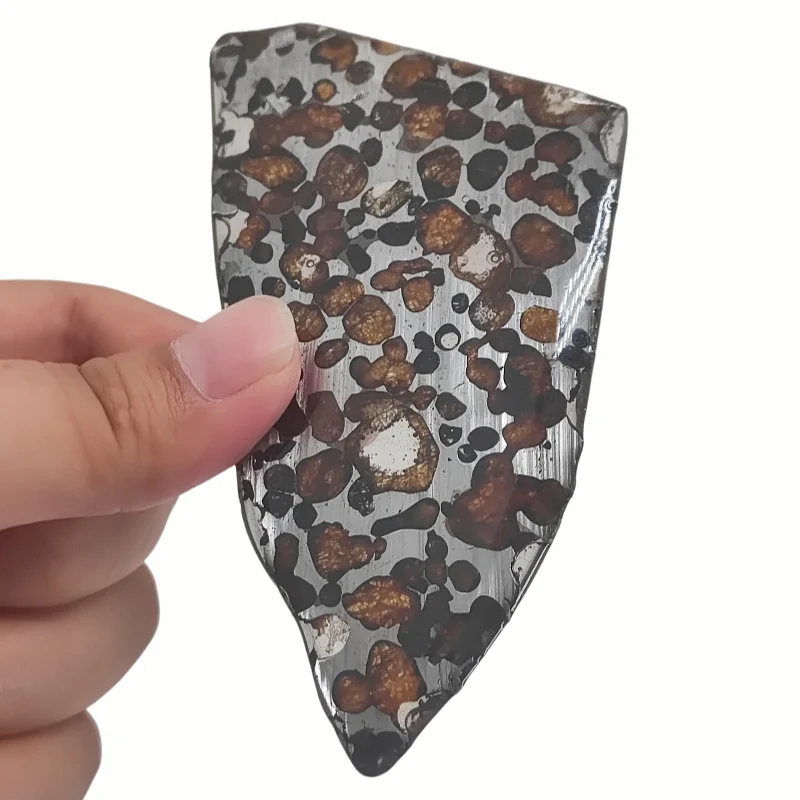 24.7g Quality Brenham Olive Meteorite Slice Natural Meteorite Material Olive Meteorite Specimen Artwork Collection TA729