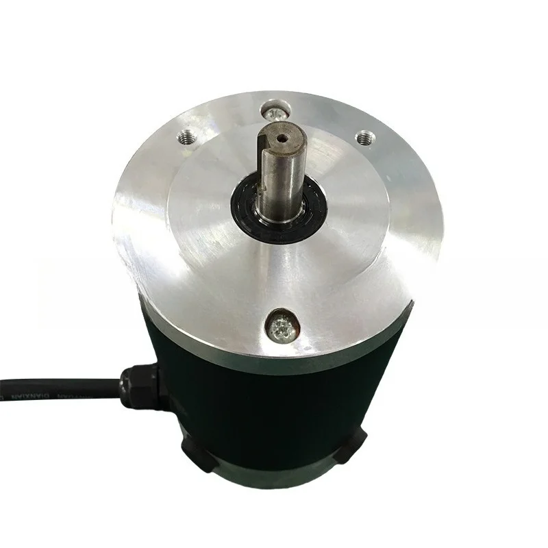 100ZYT Waterproof Brushed Dc Motor High Power For Deviation Correction System Industrial Automation Equipment Accessories