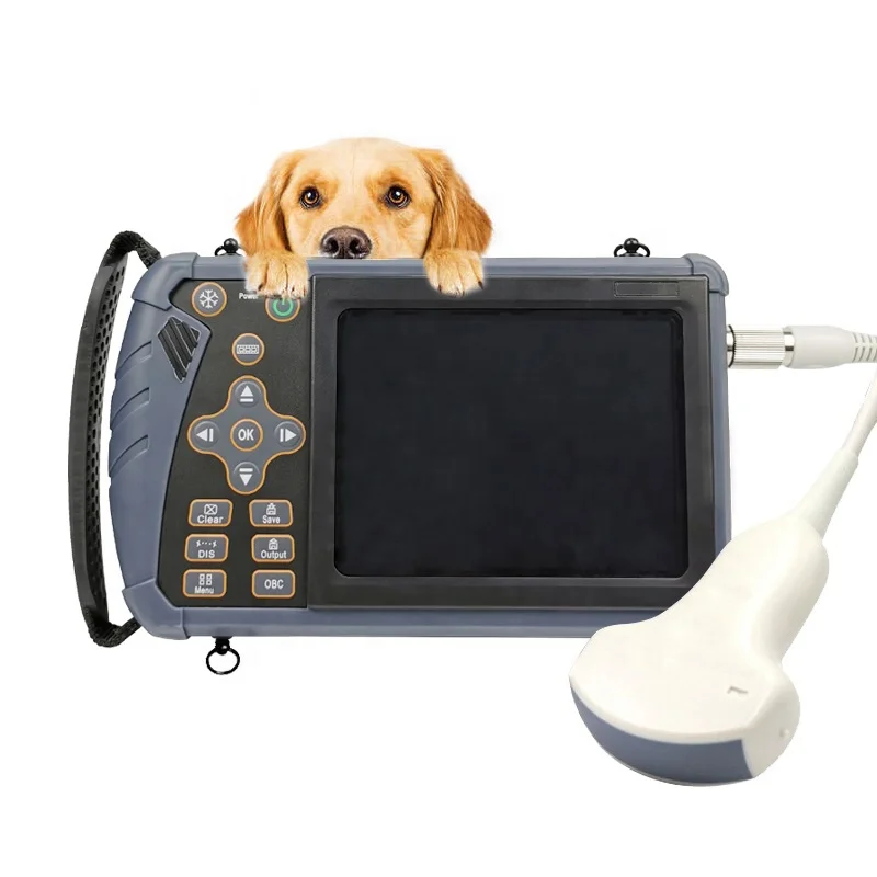 Sale Low Cost Dog Breeders Scanner Uk Early Pregnant Abdomen Pregnancy High Accuracy Ultrasound Machine For Dogs