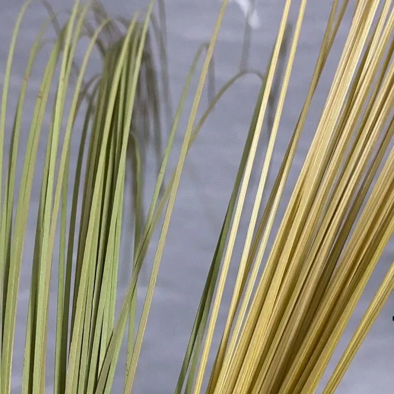 80 pcs Ultra‑Thin Green Skin Bamboo Filaments Porcelain‑Inlaid Bamboo Weaving Silk Natural DIY Traditional Handicraft Material