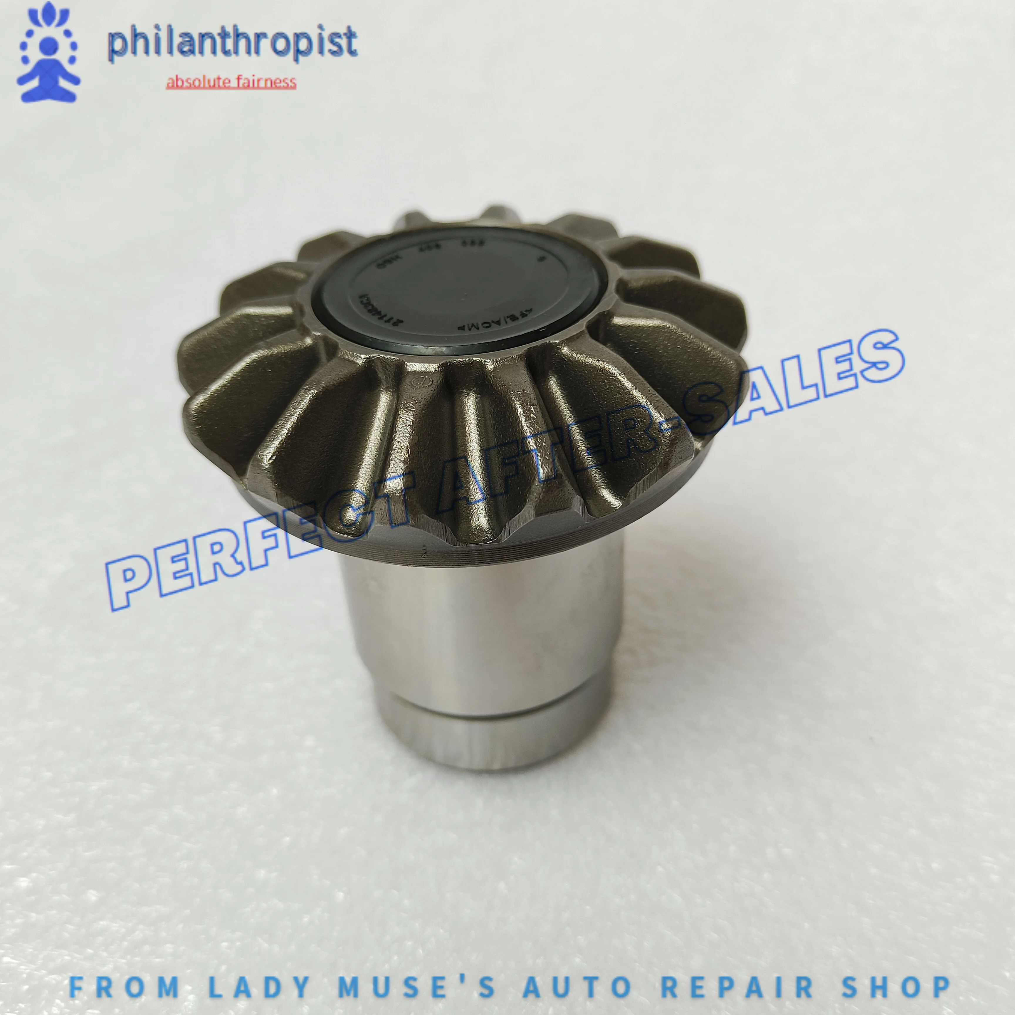 

0BH409095 0BH DQ500 Gearbox Differential Pinion For Audi, Skoda, VW