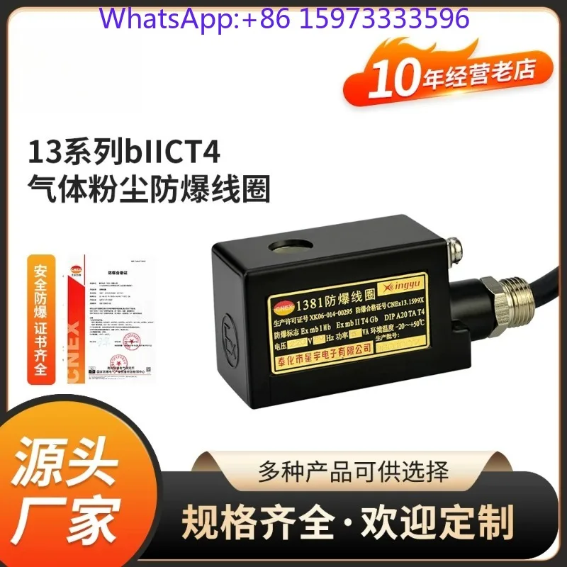 1381 AC220V 1380 DC24V IICT4 Explosion Proof Electromagnetic Coil, Dust And Gas Isolated Solenoid Coil Replacement Parts