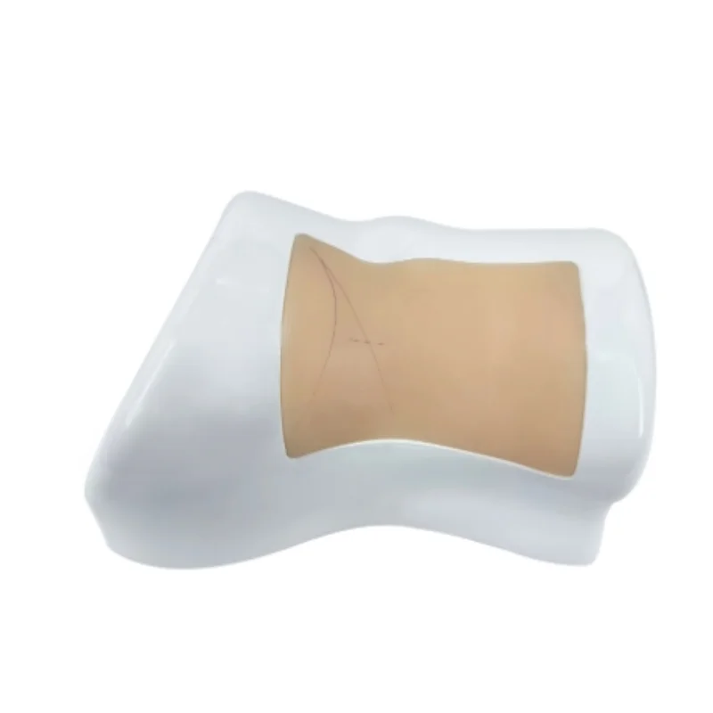 

Уникальная медицинская научная модель поясничной спины для преподавания трансфораминального эндоскопического обучения