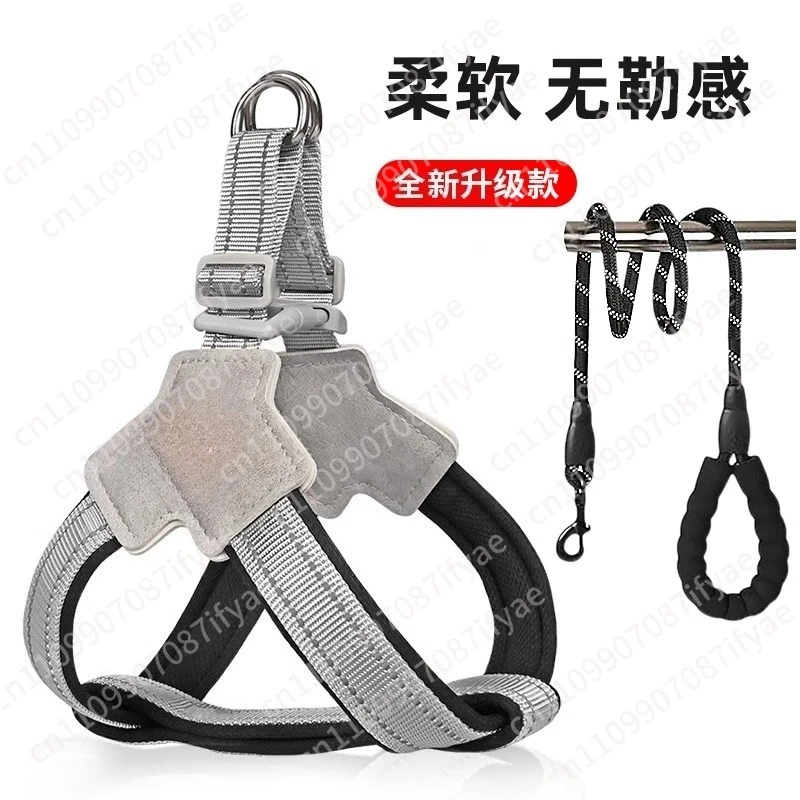 leash harness leash small and medium size dog harness corgi teddy bear bear walking dog leash