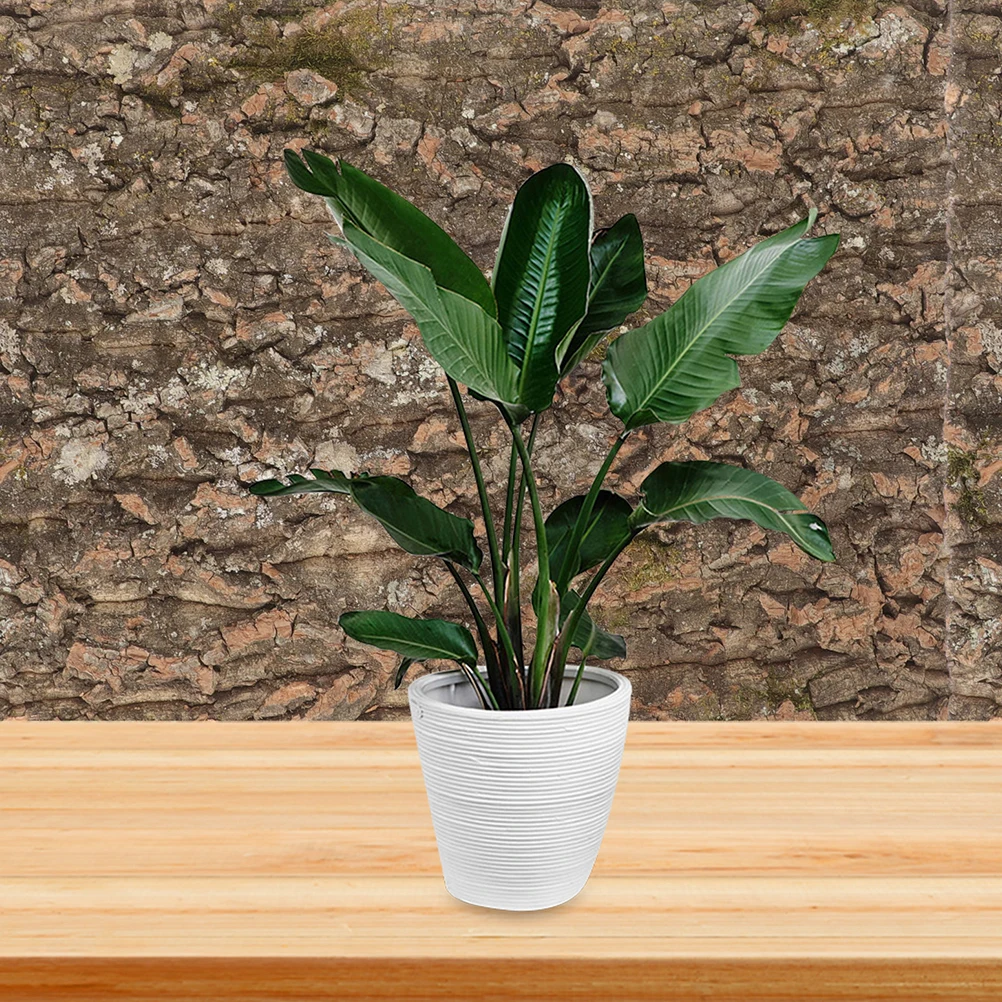 

Natural Tree Bark Background Board 20x30cm Reptile Tank Decor Safe Wear Resistant Aquarium Landscaping Fish Tank Supplies Pet