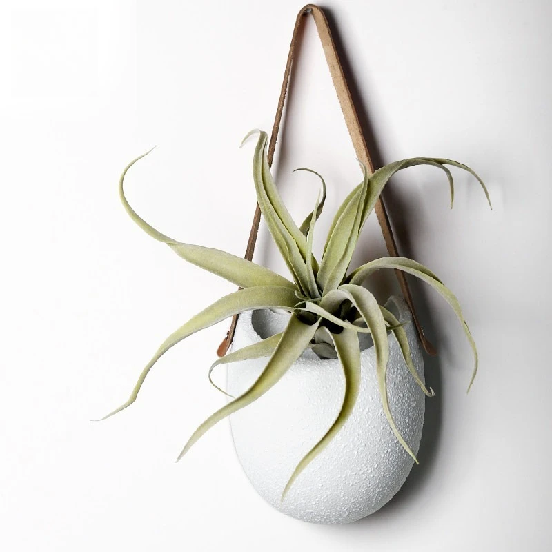 Creative Wall-mounted Hydroponics Simple Hanging Basket Nordic Ceramic Flower Pendant Decorative Wall-mounted Flower Pot