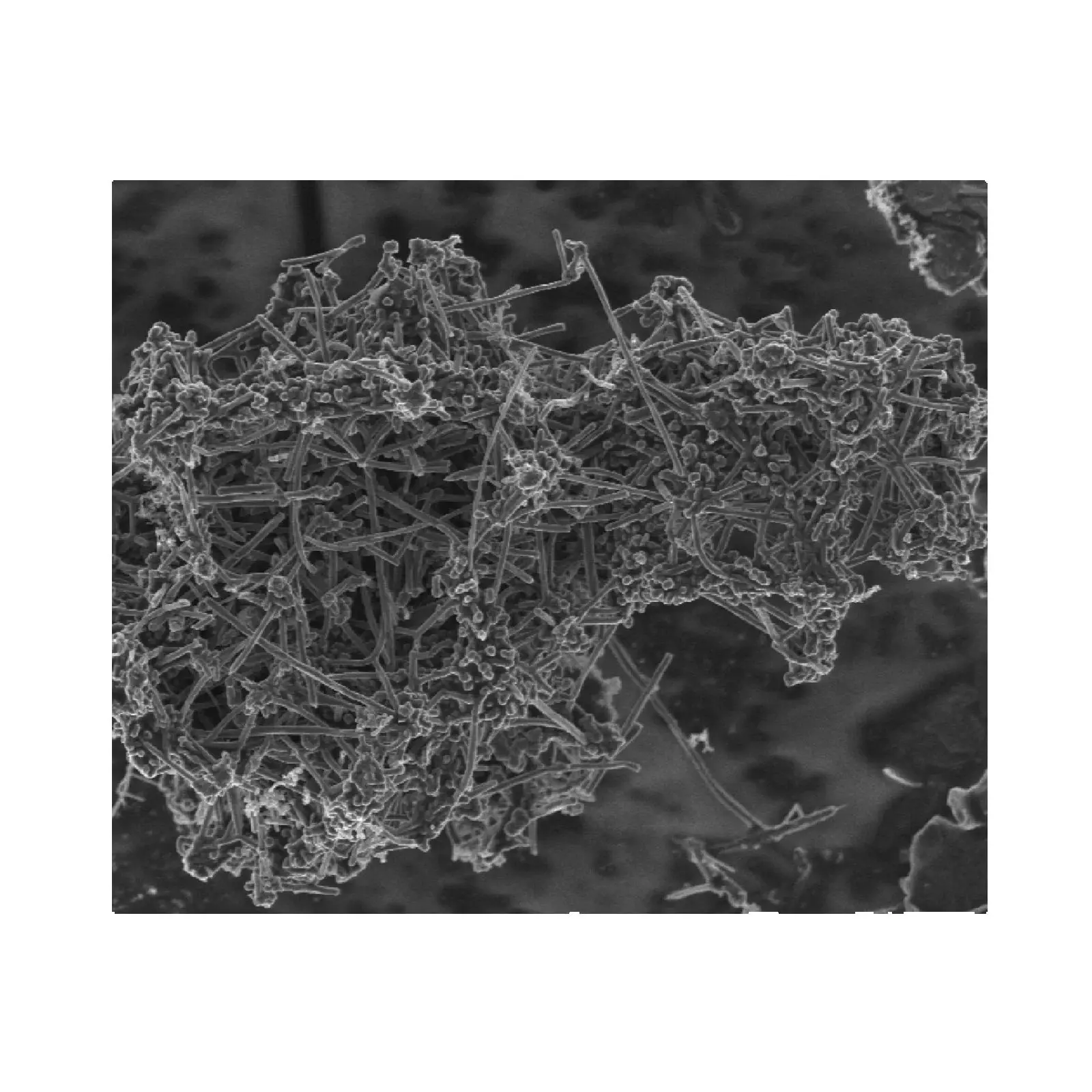 VGCF-H مسحوق المضافة الموصل من ألياف الكربون النانوية لأبحاث بطارية ليثيوم أيون | VGCF مسحوق الأنابيب الكربونية #3