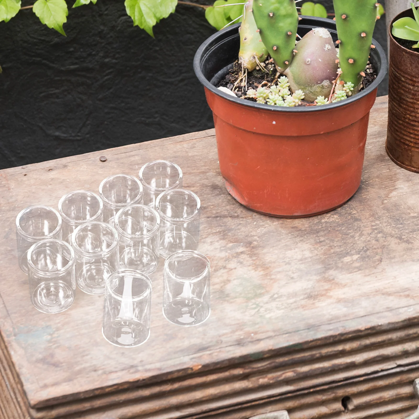 

10Pcs Mini Glass Succulent Vases Test Tube Style Plant Containers Micro Landscape Hydroponic Small Bottles Small Terrarium