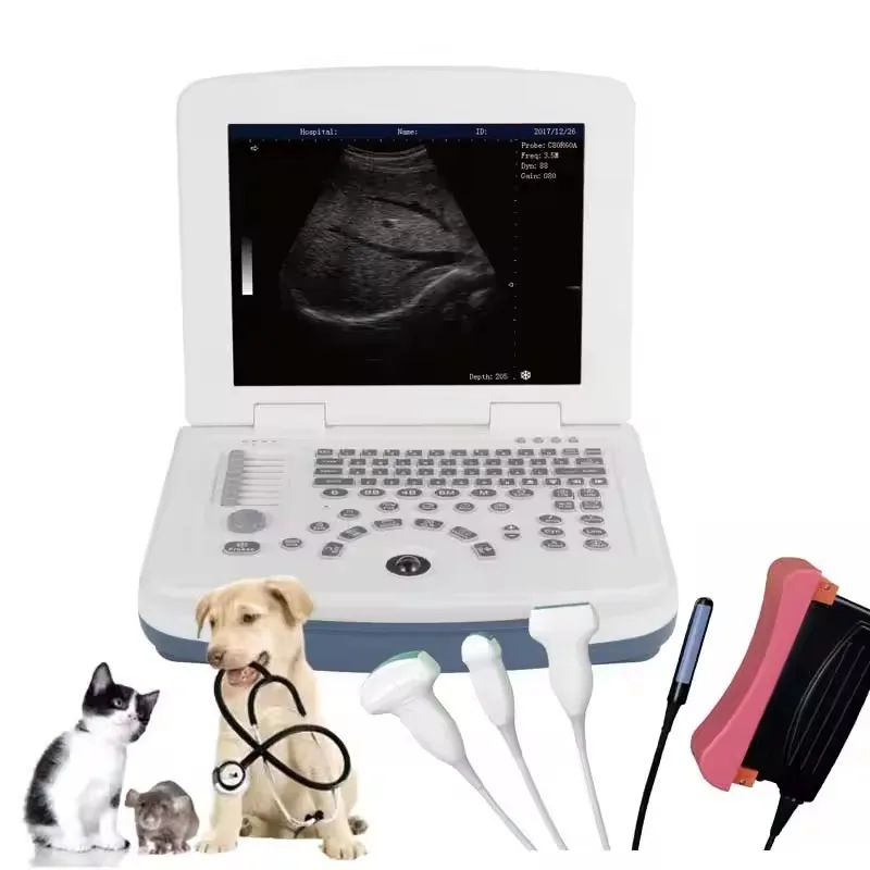 

Veterinary Ultrasound Machine Portable Ultrasound Dog Cat Scanning Machine Animal Care and Supplies