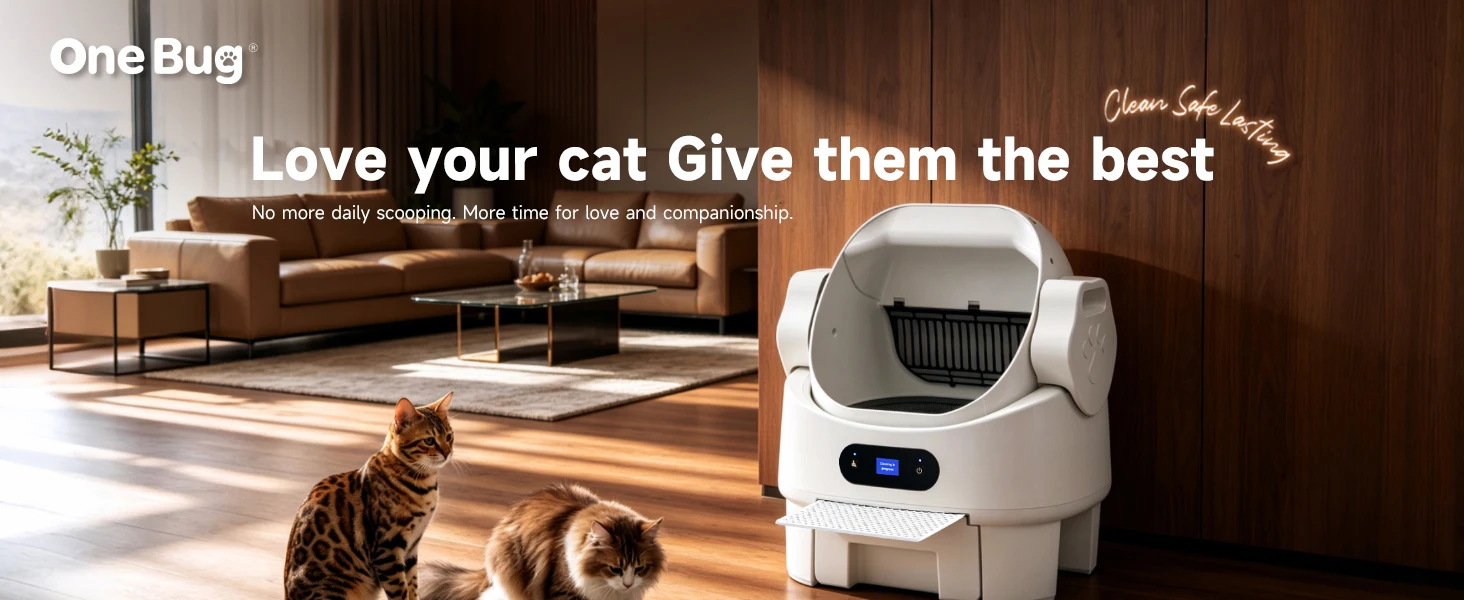 Love your cat Give them the best