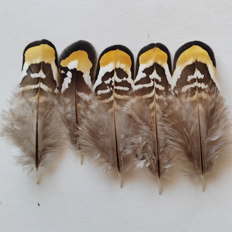 100Pcs Per Lot 7-10cm Natural Golden Yellow Reeves Pheasant Feathers DIY Supplies for Necklace Decor Fly Tying Craft Accessories