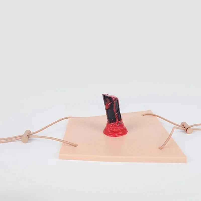 

Limb Penetrating Injury Model Silicone Practice Model Penetrating Wound Training Module Surgical Suturing Practice Model