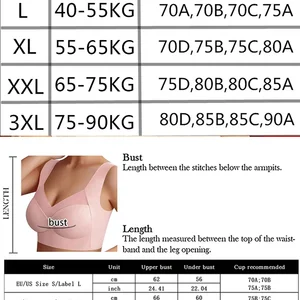 12 Main Sales Sutia Income - №6