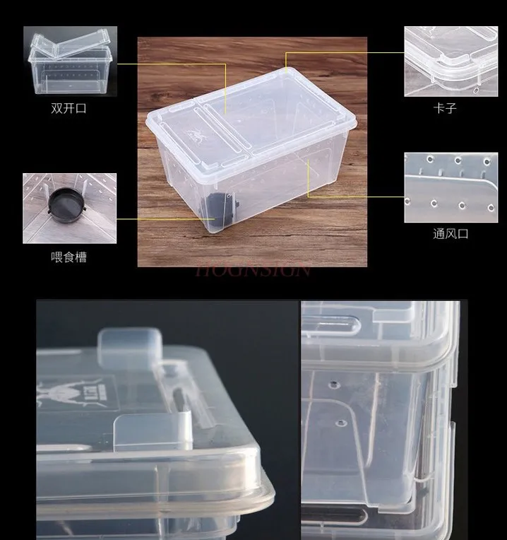 Reptile feeding box pet snail Hermit crab spider scorpion horned frog lizard insect box