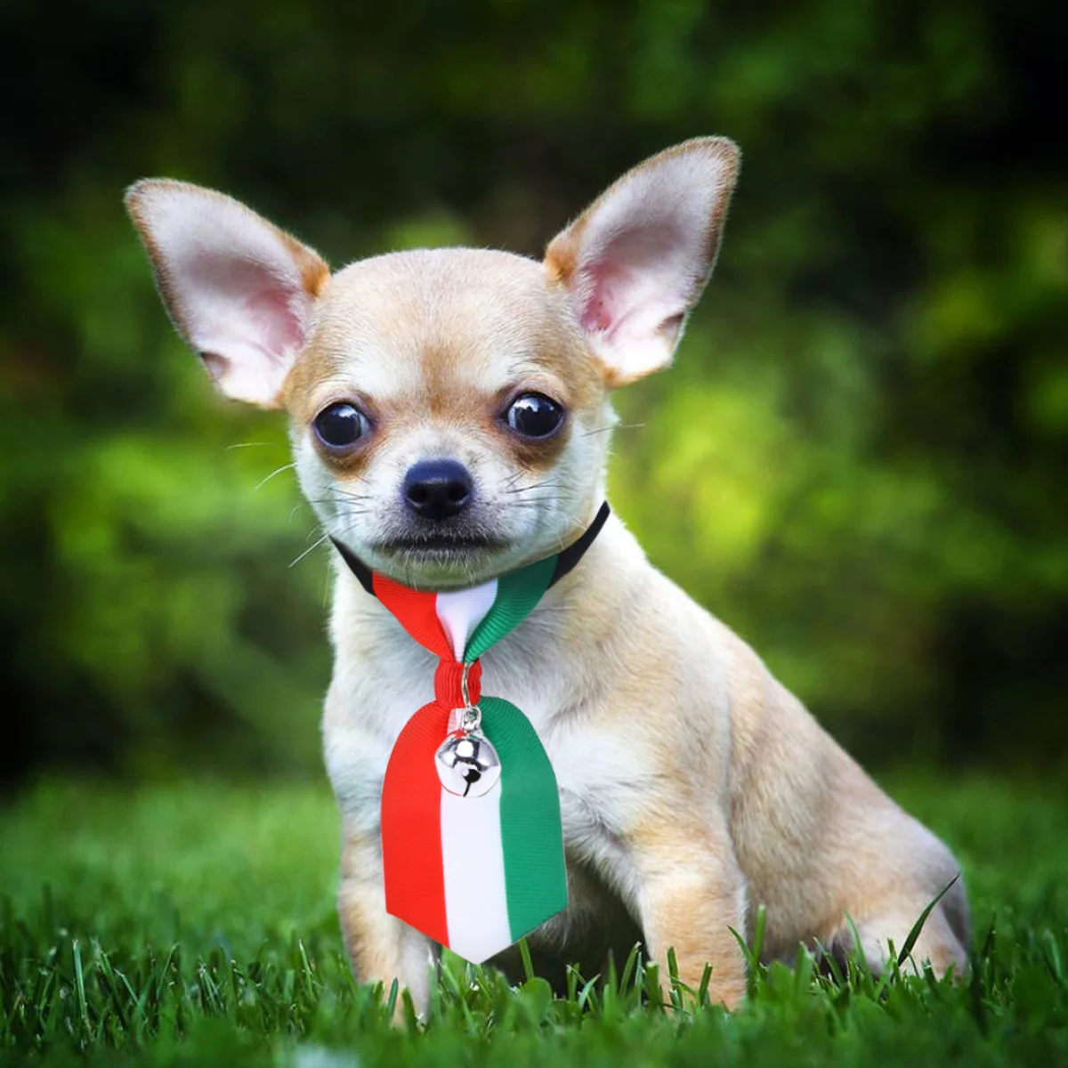 

Pet Small Dog Cat Collar Necktie Bell Adjustable Xs Red White Green Stripe for Christmas Holiday Party Premium Cloth