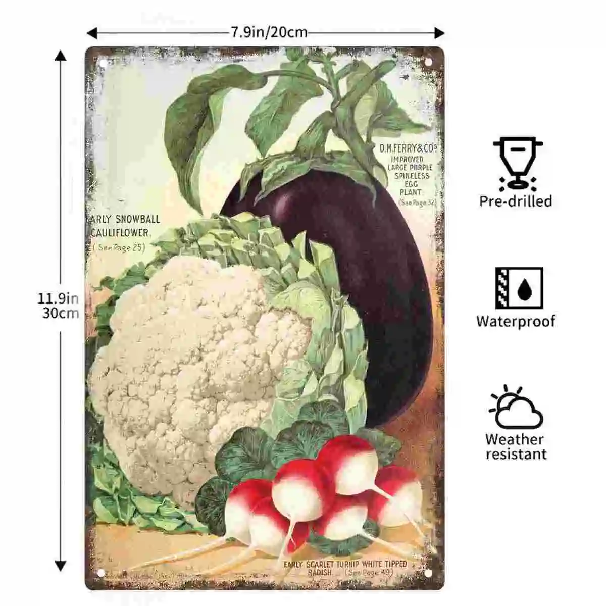 2D FLAT 1pc Vintage Vegetable Seed Catalog Botanical Wall Poster Decoration for Kitchen Cafe Farmhouse Dining Room And Garden