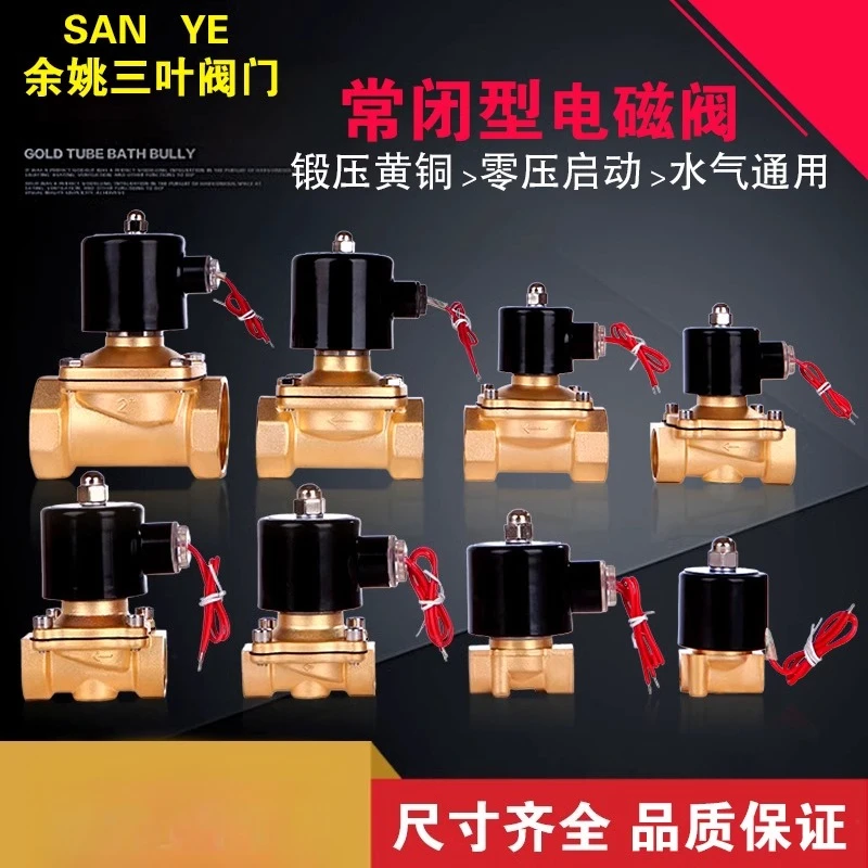 Normally closed solenoid valve AC220VDC24V DC12V 2 minutes 3 minutes 1 inch