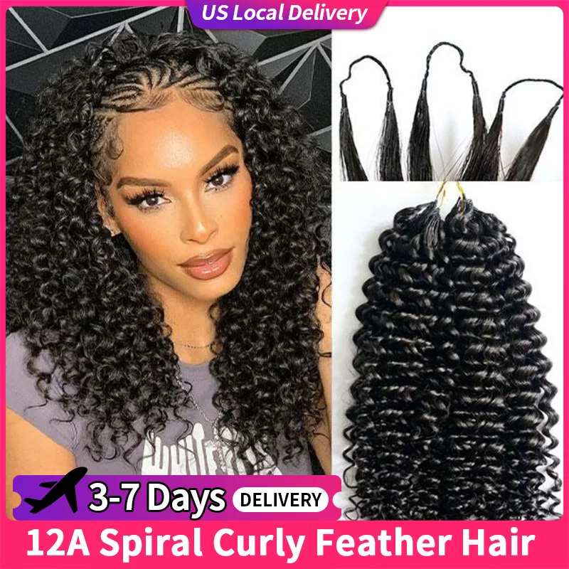 

Афро-кудрявые вьющиеся 12А, невидимые вязанные крючком человеческие волосы, предварительно разделенные маленькие спиральные текстурированные вьющиеся волосы с перьями без узлов