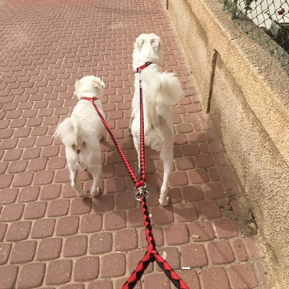 

Pet Dog Woven Collar Rope Double-Headed Training Leash Outdoor Pet Hand Leash for Dogs Black Red Size 145x15x3cm