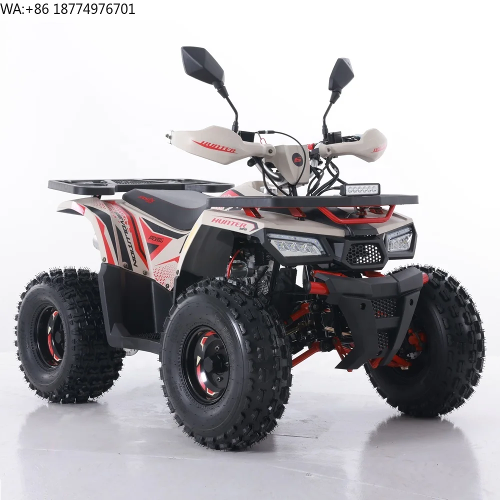 Tao Motor 2024 New ATV 125 Cheap Chinese Automatic Chain Drive Farm ATV 125cc ATV
