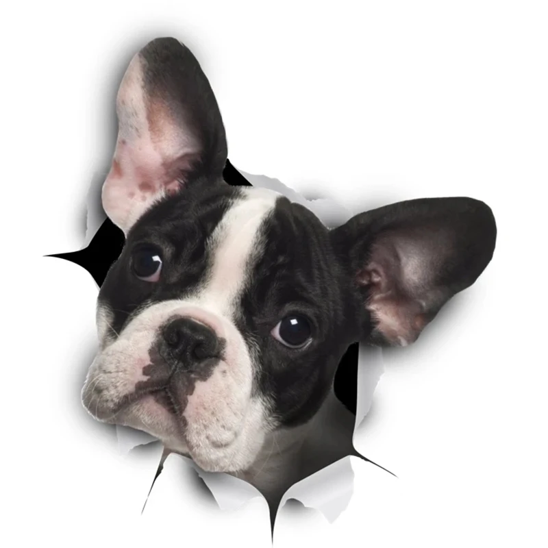 

32716 # Black & White French Bulldog Self-adhesive Decal Car Sticker Waterproof Auto Decors on Bumper Rear Window Laptop