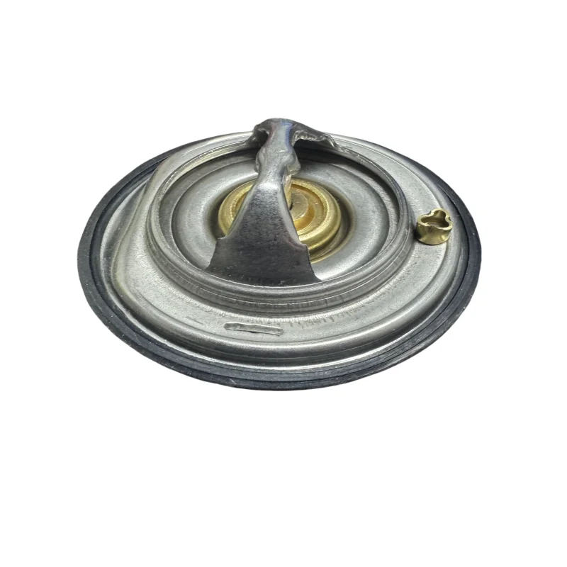 

6062030275 forkgm/ssangyongRexton Kyron Actyon thermostat/diesel