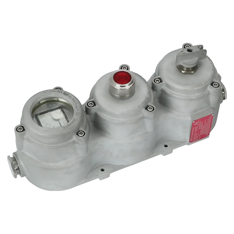 Zone 1 IP66 IECEX Explosion Proof Control Unit Pushbutton Indicator Currency Meter Optional Dual and Tripartite Systems