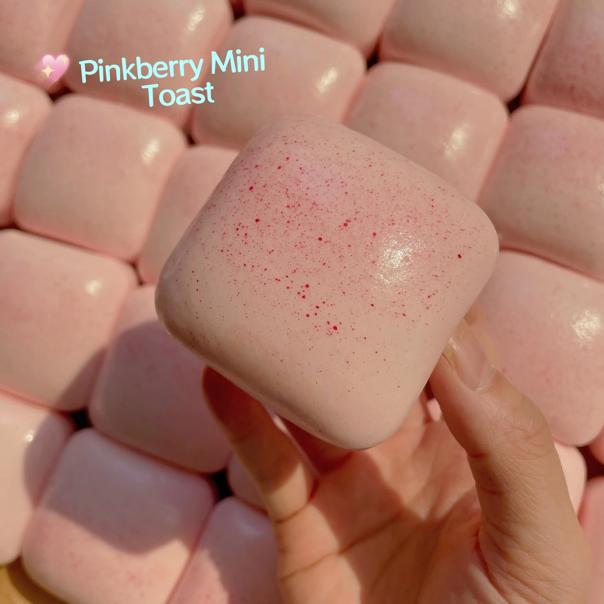 Mainan Squishy Roti Panggang L - Kids Quiet Toys ulasan dan harga