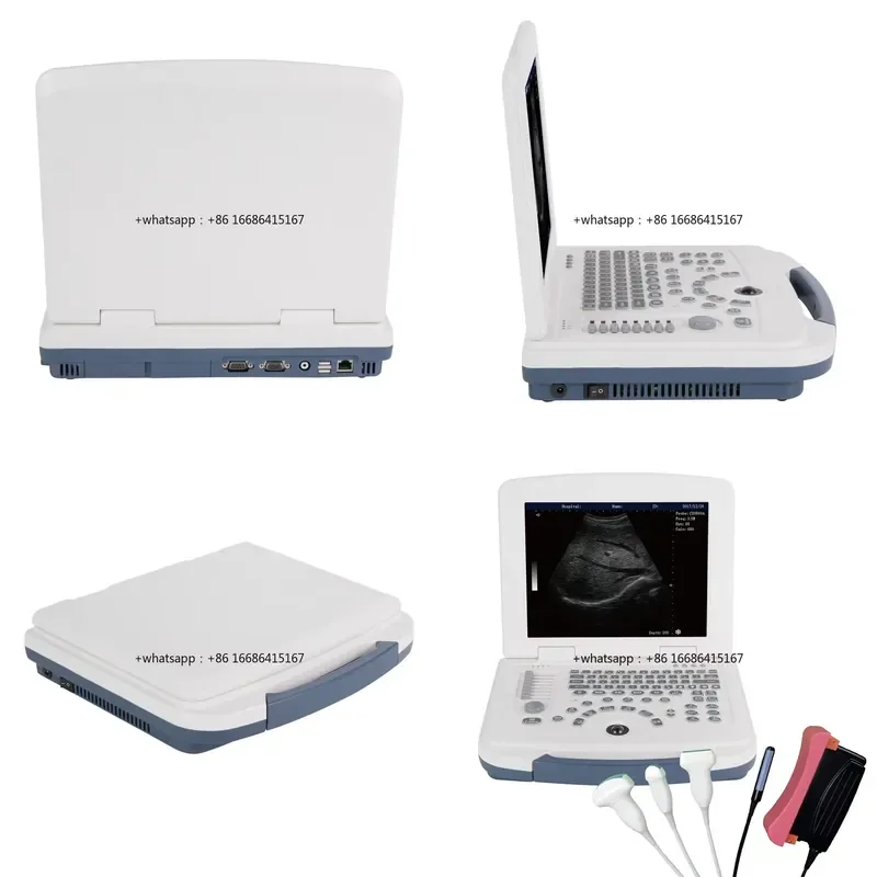 Portable Veterinary Full Digital B/W Scanner, Laptop Pet Animal Canine Machine