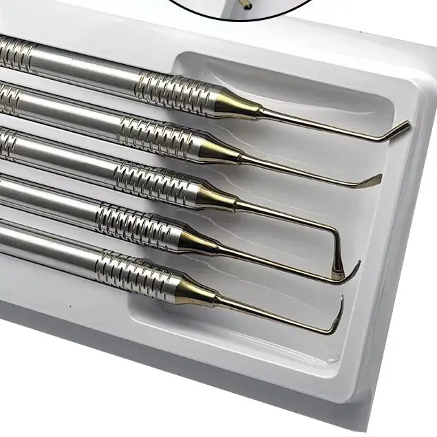 

5Pcs Dental Implant Sinus Lift Elevator Stainless Steel Double Ends Set Dentist Repair Fill Instrument Tools