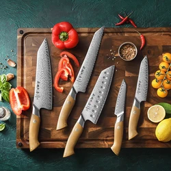 HEZHEN 1PC or 5PC Knife Set Chef Knife 67 Layers Damascus Steel Kitchen Knives Cooking Tools Powder Steel Core Cutlery