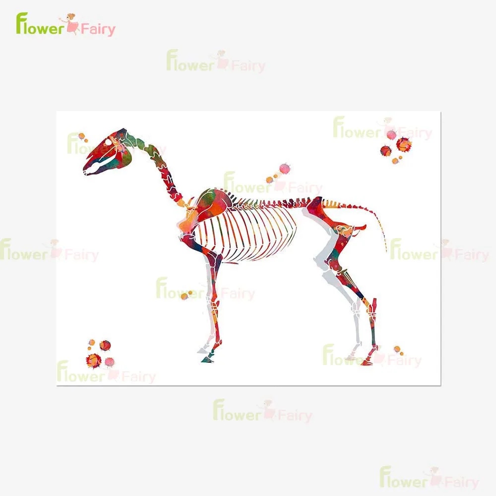 Veterinary Art Animal Skeleton Posters Nordic Poster Wall Art Canvas Painting Home Decor Wall Pictures For Living Room Unframed