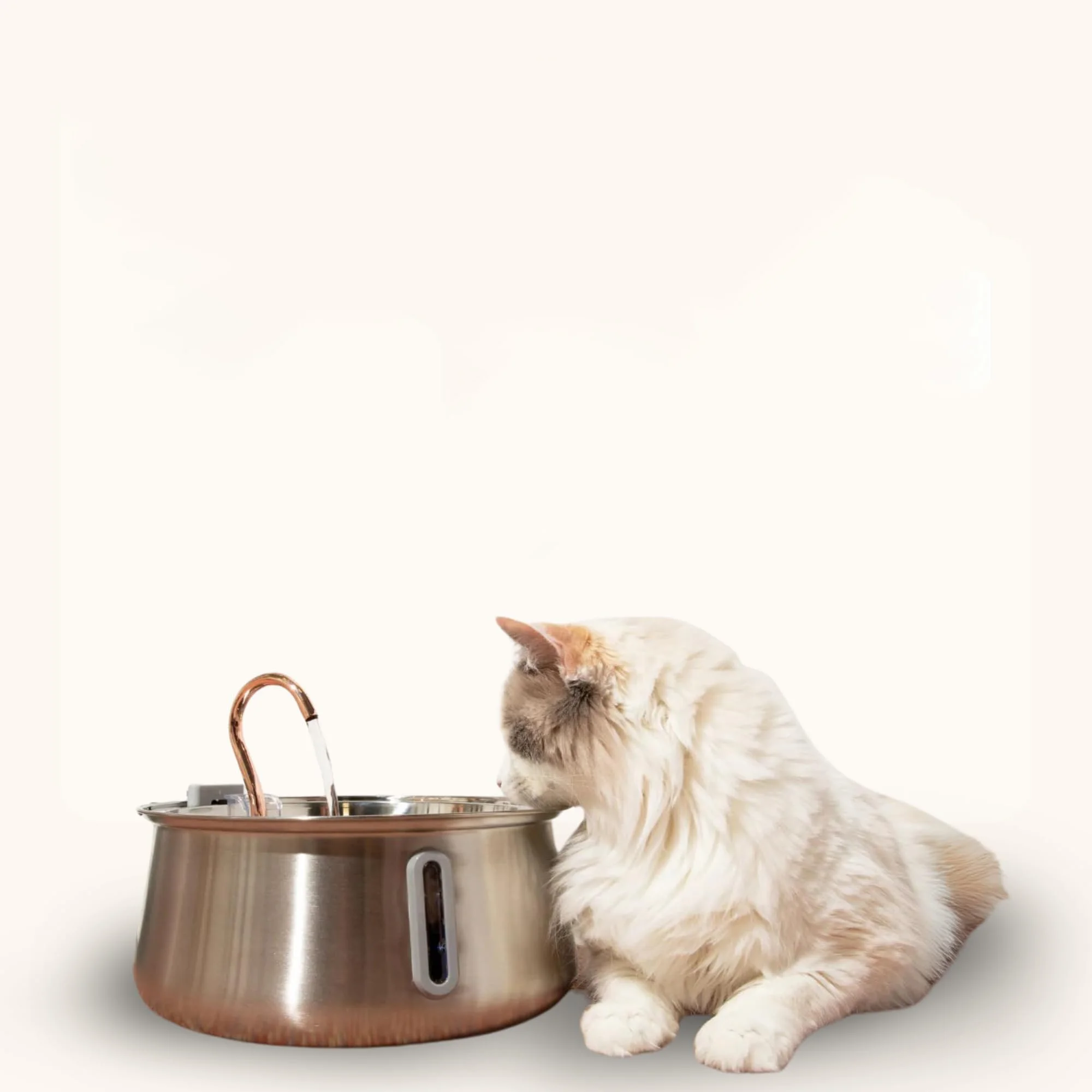 4L Large Capacity Stainless Steel Automatic Cat Water Fountain For Multiple Cats Indoor Use Durable & Hygienic Easy To Clean