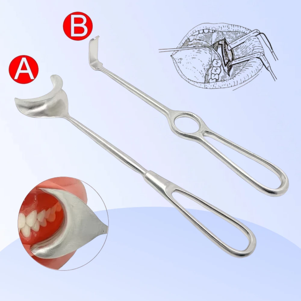 

Dental Implant Tool Maxillofacial Soft Tissue Retractor Long Upper and Lower Bends Stainless Steel Dental Surgical Instruments