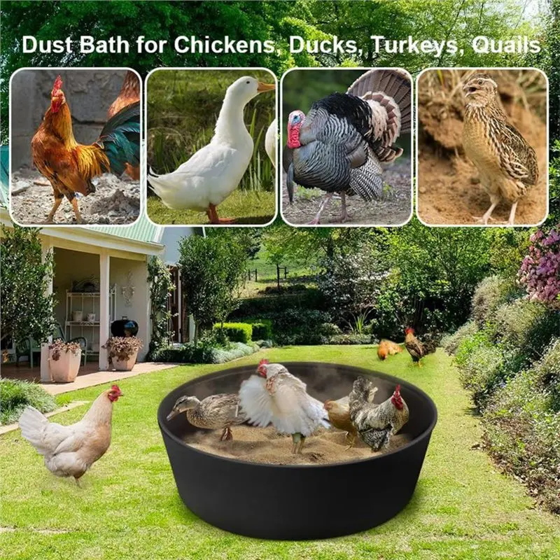 SOFT-Chicken Dust Bath Tub, 28