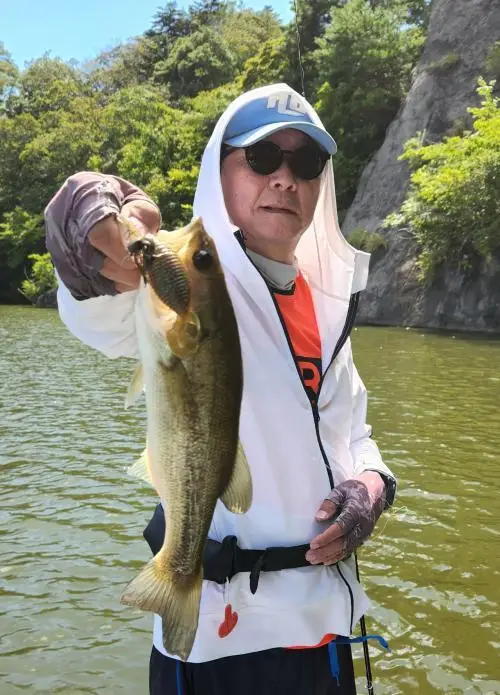 غير محلية السمك المسطح الضفدع STAGGER TWINTAIL مزدوجة الذيل دوامة OZARK الذاتي الركل الضفدع الطعم الناعم HIDEUP #6