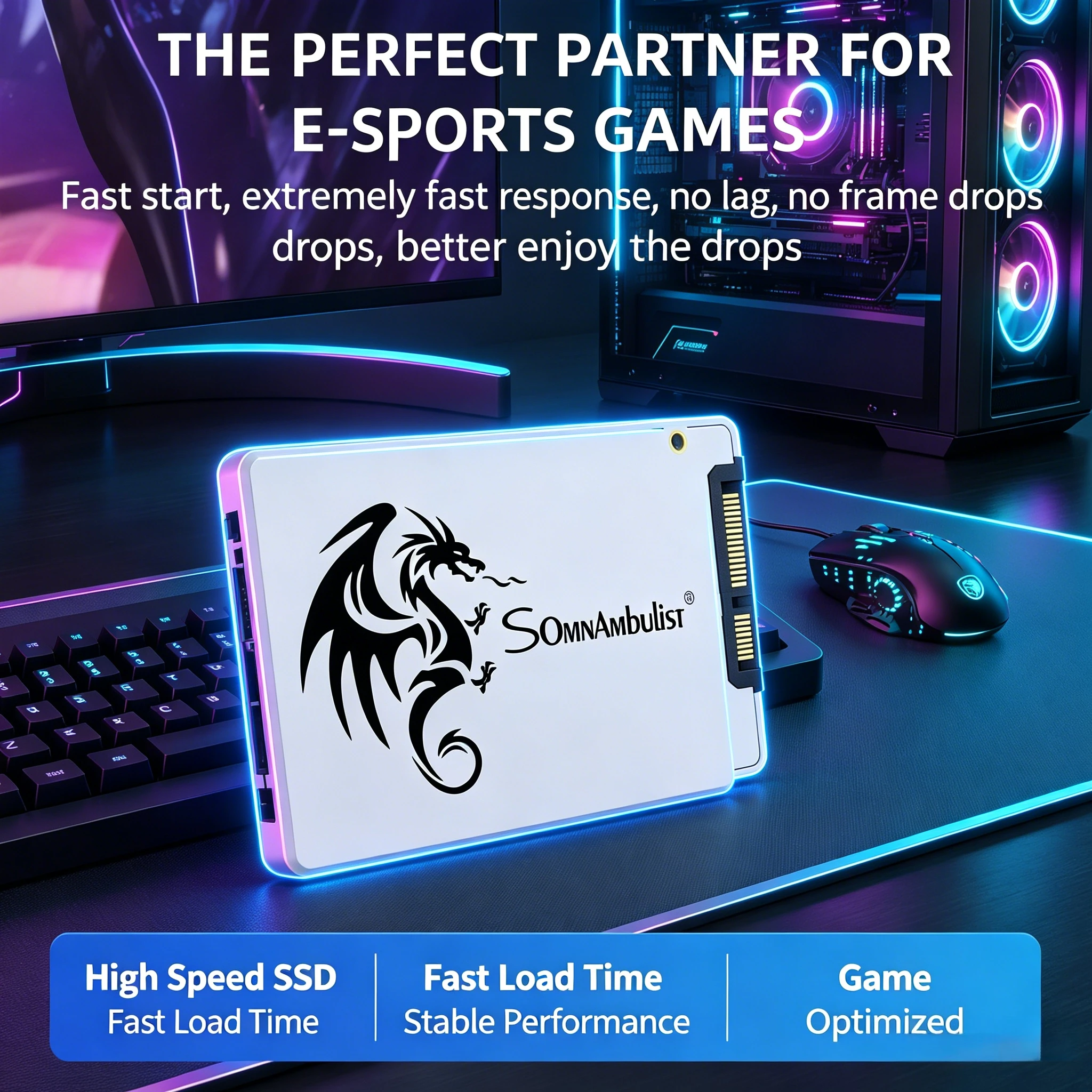 

SomnAmbulist 2.5 Inch SATA3 Internal SSD 60GB 120GB 128GB 240GB 256GB 480GB 512GB Solid State Drive for Laptop Desktop PC