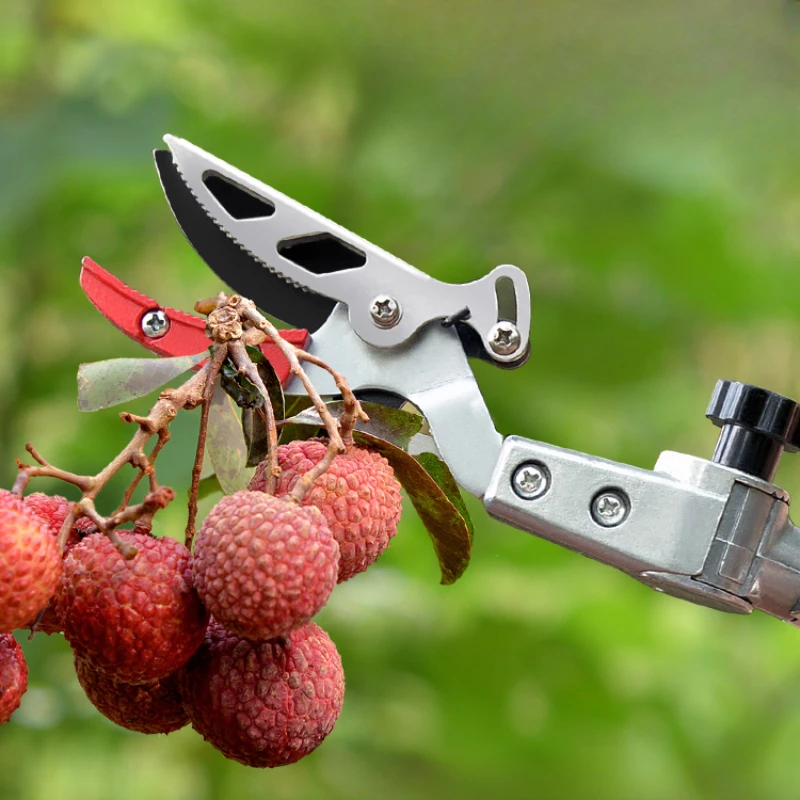 Foreign trade fruit picking artifact, telescopic rod, loquat, lychee, high-altitude scissors, bayberry, mango scissors