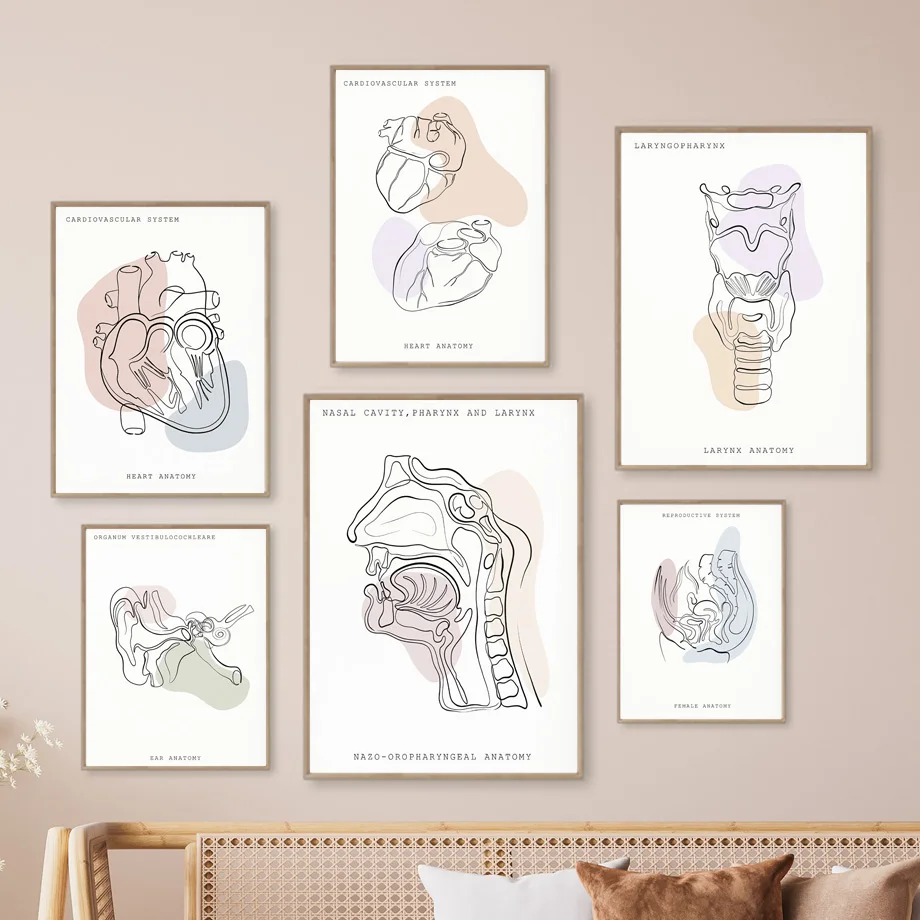 1PC Frameless Minimalist Colorful Anatomy Line Medical Poster Prints Wall Art Mural Ear Larynx Heart Canvas Painting Doctor Gift