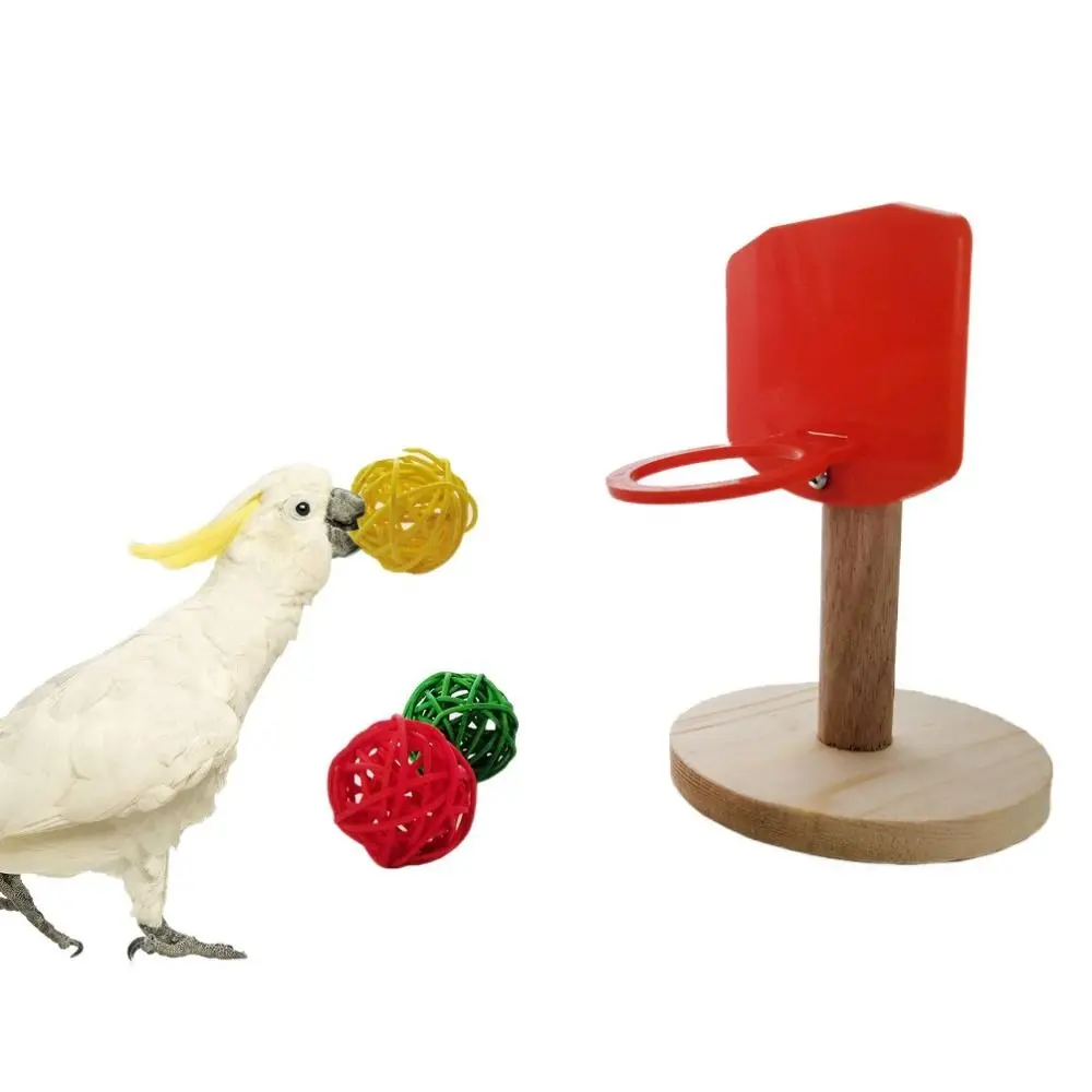 Juguete de baloncesto para pájaros, Mini cesta de juguete con Marco, pelota para masticar, entrenamiento de loros, juguetes de forrajeo, inteligencia interactiva para pájaros