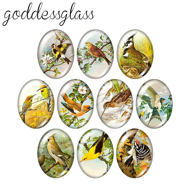 New Vintage Birds magpie Parrot 10pcs photo Oval glass cabochon 10pcs 13x18m/18x25mm flat back DIY Jewelry Making findings